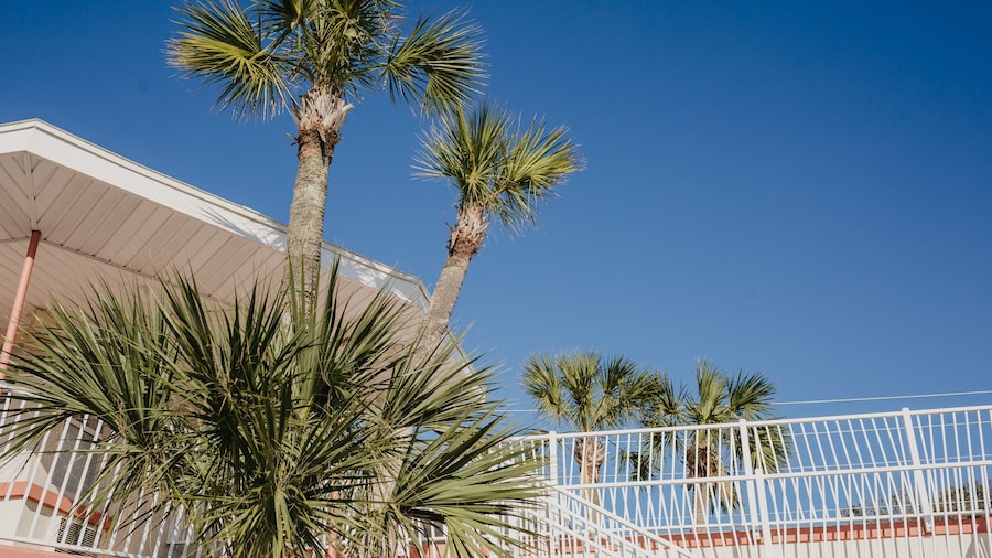 The Local - St. Augustine