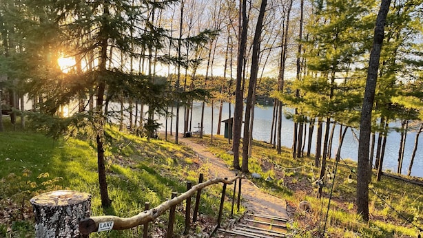 Una escalera de madera que desciende hacia un lago, rodeado de árboles y una zona cubierta de césped.