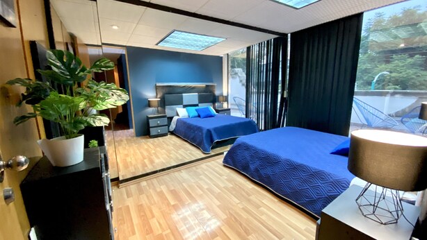 Een moderne slaapkamer met twee bedden, een groot raam en een potplant.