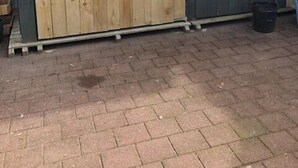 Een laag gebouw met een houten deur en een grijze muur.