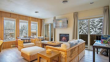 Smart TV, fireplace, DVD player, books