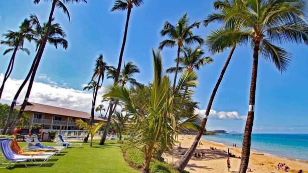 A beach with palm trees, a pool area with lounge chairs, and a building in the background. - Wonderful Honokowai Beach Condos (Lahaina)