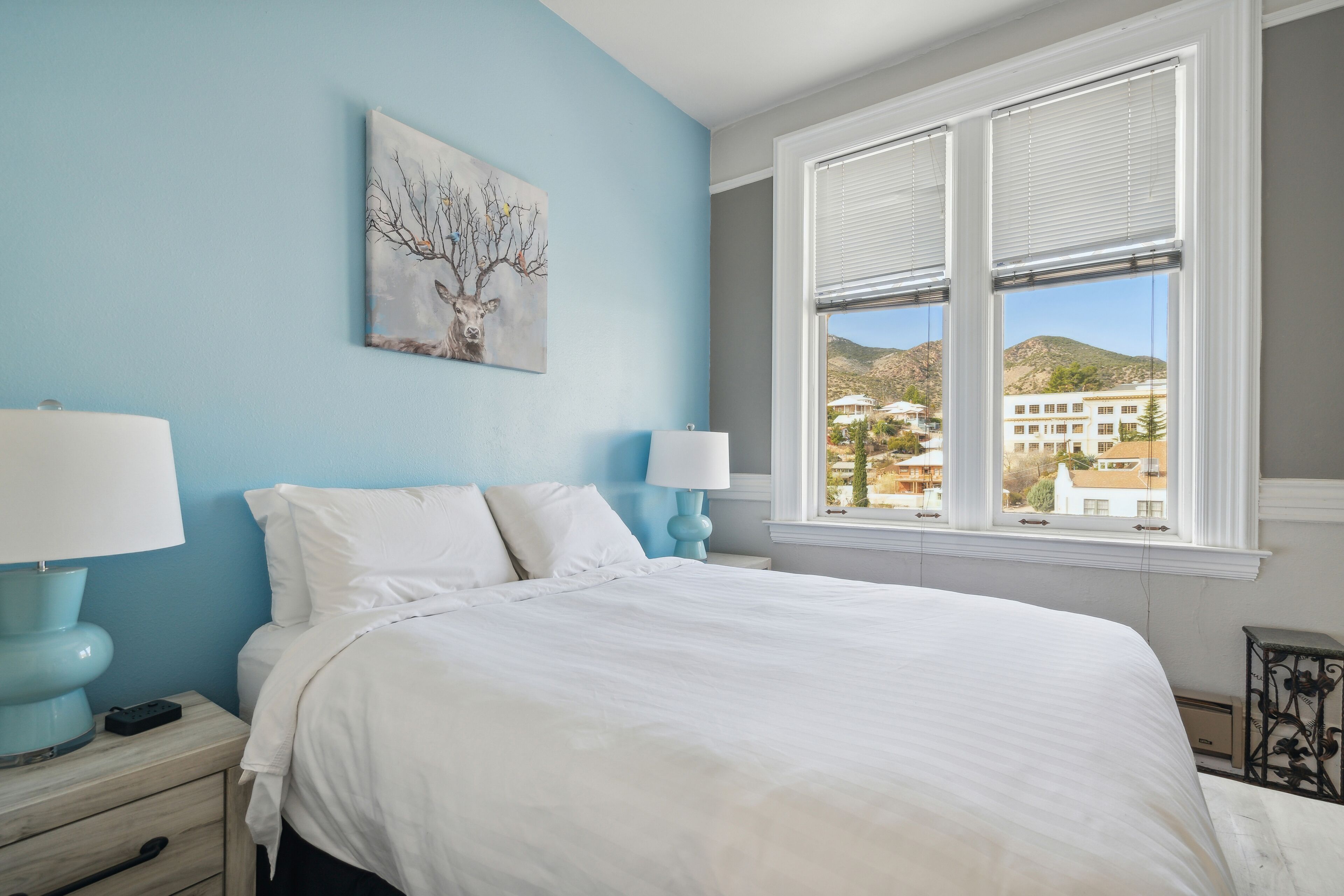 Suite 301 (Not Pet Friendly)