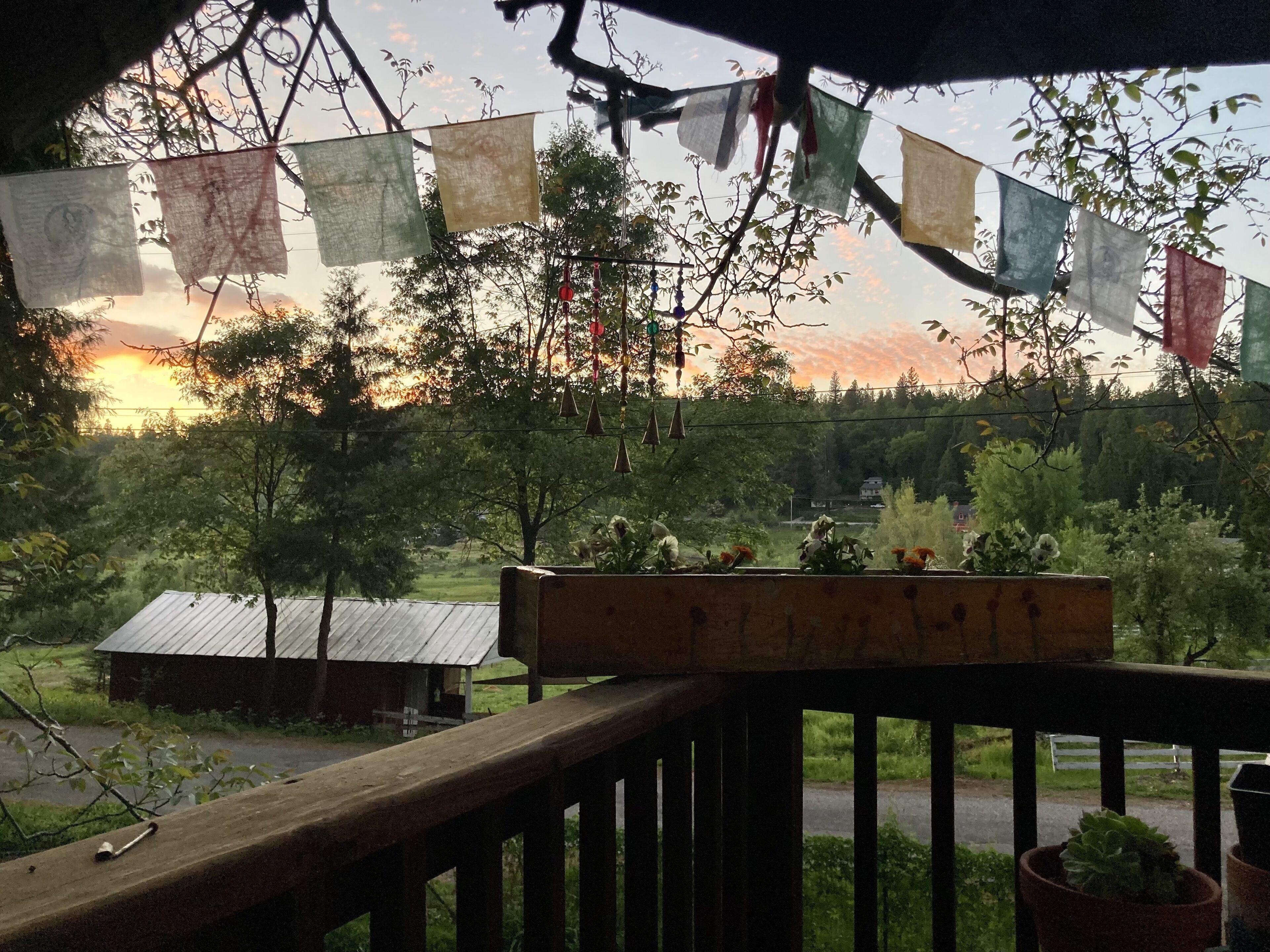 The Lily Pad- Your Home Away From Home