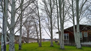 A rustic cabin surrounded by birch trees in a grassy field. - Yellowstone River Retreat in Big Timber, Montana!! A few minutes from Downtown. (Big Timber)