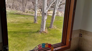 Tina de hidromasaje, secadora de cabello, toallas, jabón