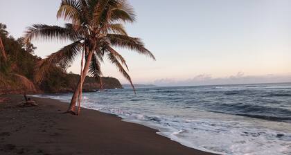 Friendly beach bungalow