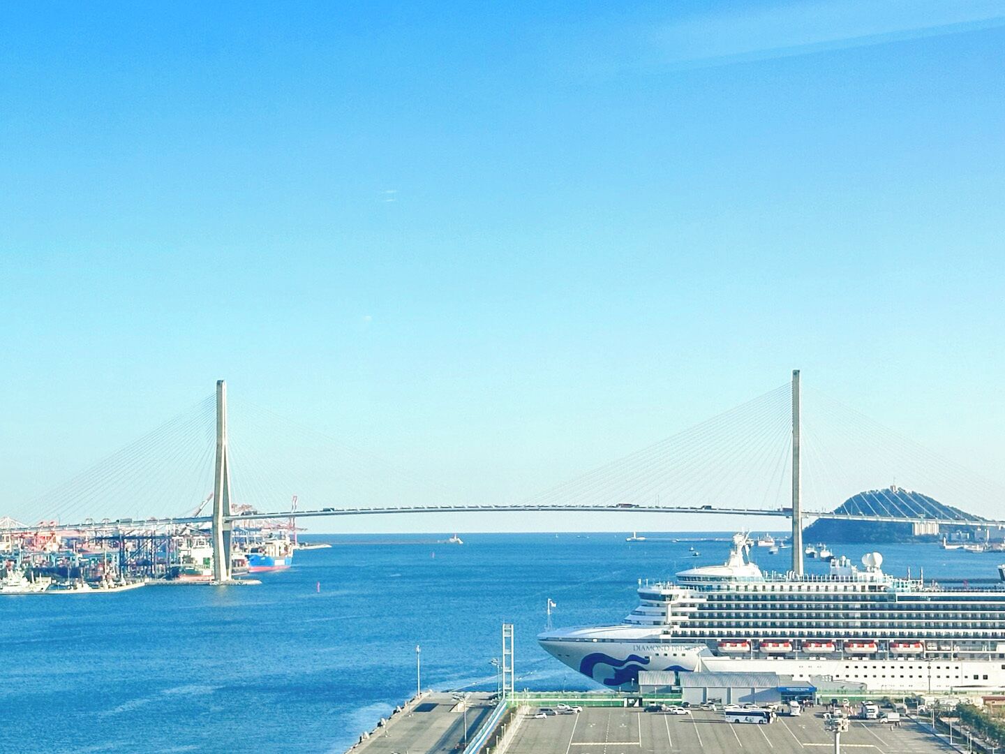 A cruise ship docked at a port with a large suspension bridge in the background.