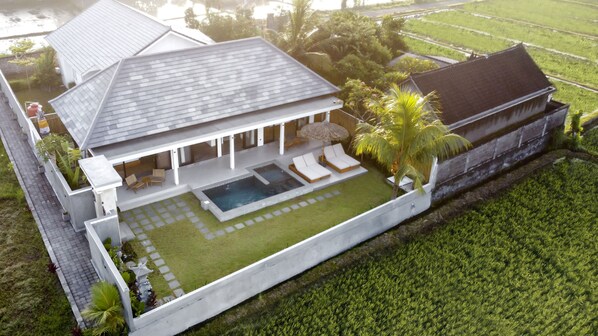 A modern house with a swimming pool, outdoor seating, and a well-maintained lawn. - Villa Grateful by Alfred in Bali (Sukawati)