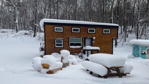 A wooden cabin with multiple windows and a door, surrounded by snow-covered trees. - Charming Tiny House on 10 Wooded Acres (Richmond)