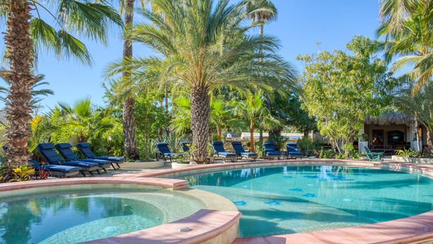 Una piscina con sillas de descanso, rodeada de palmeras y follaje.