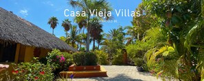 Property grounds - Brand New Casita, 2 King Beds, Located in Lush Garden Oasis, 2 Minutes to Beach (Los Barriles)
