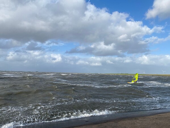 Une plage aux vagues agitées où une personne fait de la planche à voile.