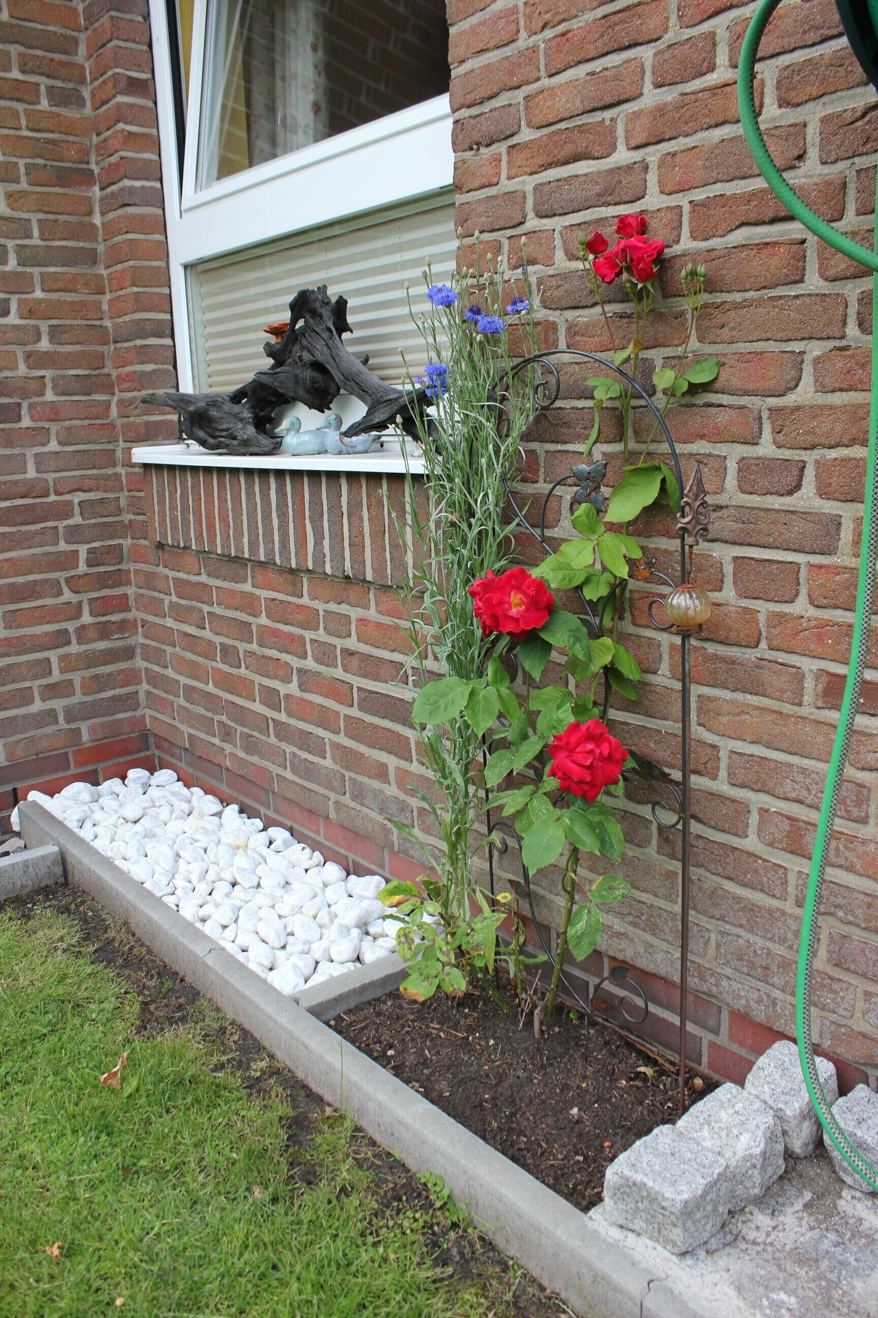 Eine Ziegelwand mit einem Fenster, ein Blumenkasten mit roten Blüten und ein Gartenbeet mit weißen Kieselsteinen.