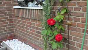 Eine Ziegelwand mit einem Fenster, ein Blumenkasten mit roten Blüten und ein Gartenbeet mit weißen Kieselsteinen.