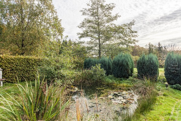 A pond surrounded by greenery and trees.