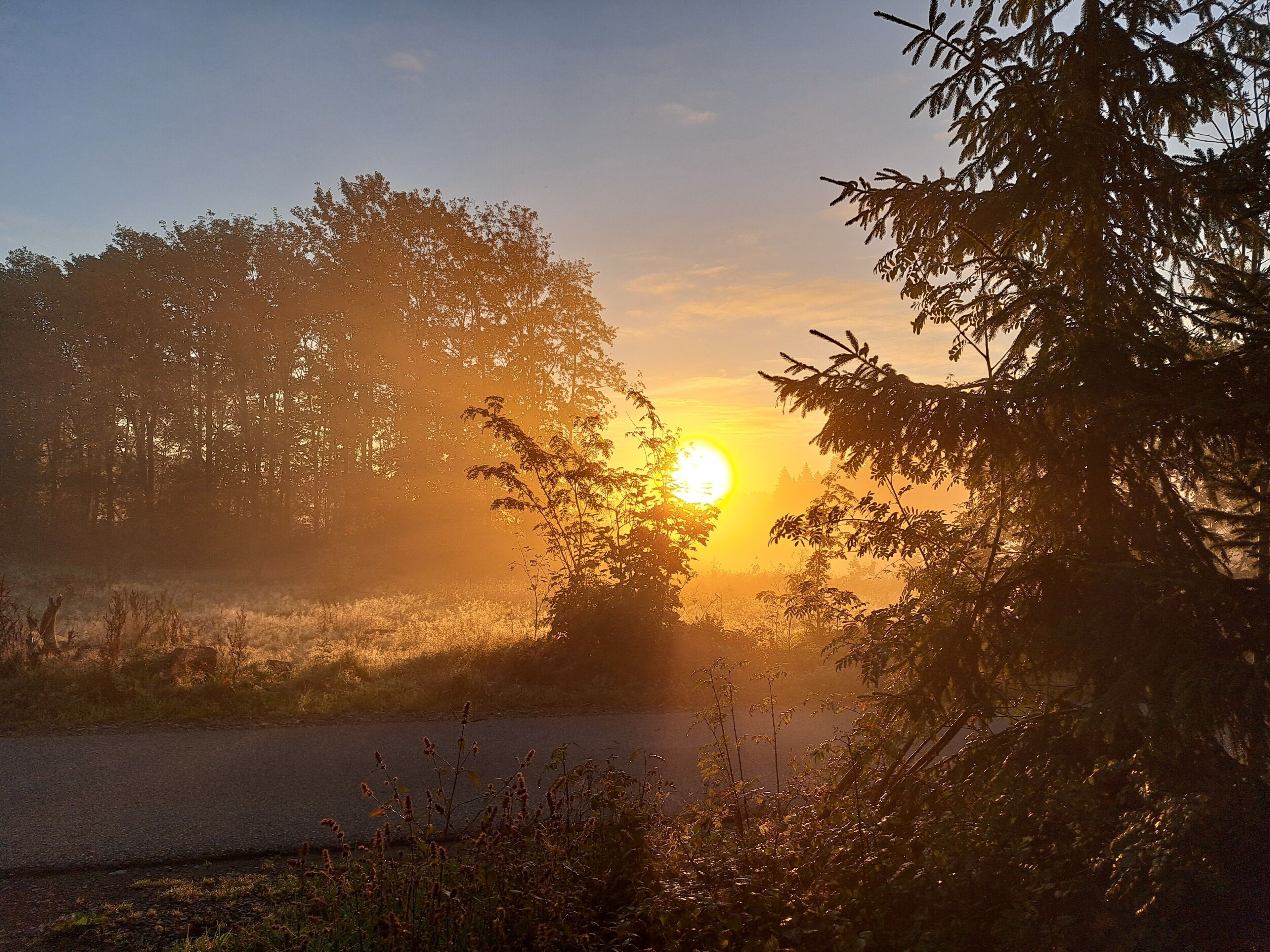 Auringonnousu tien yllä, tien molemmin puolin kasvaa puita.