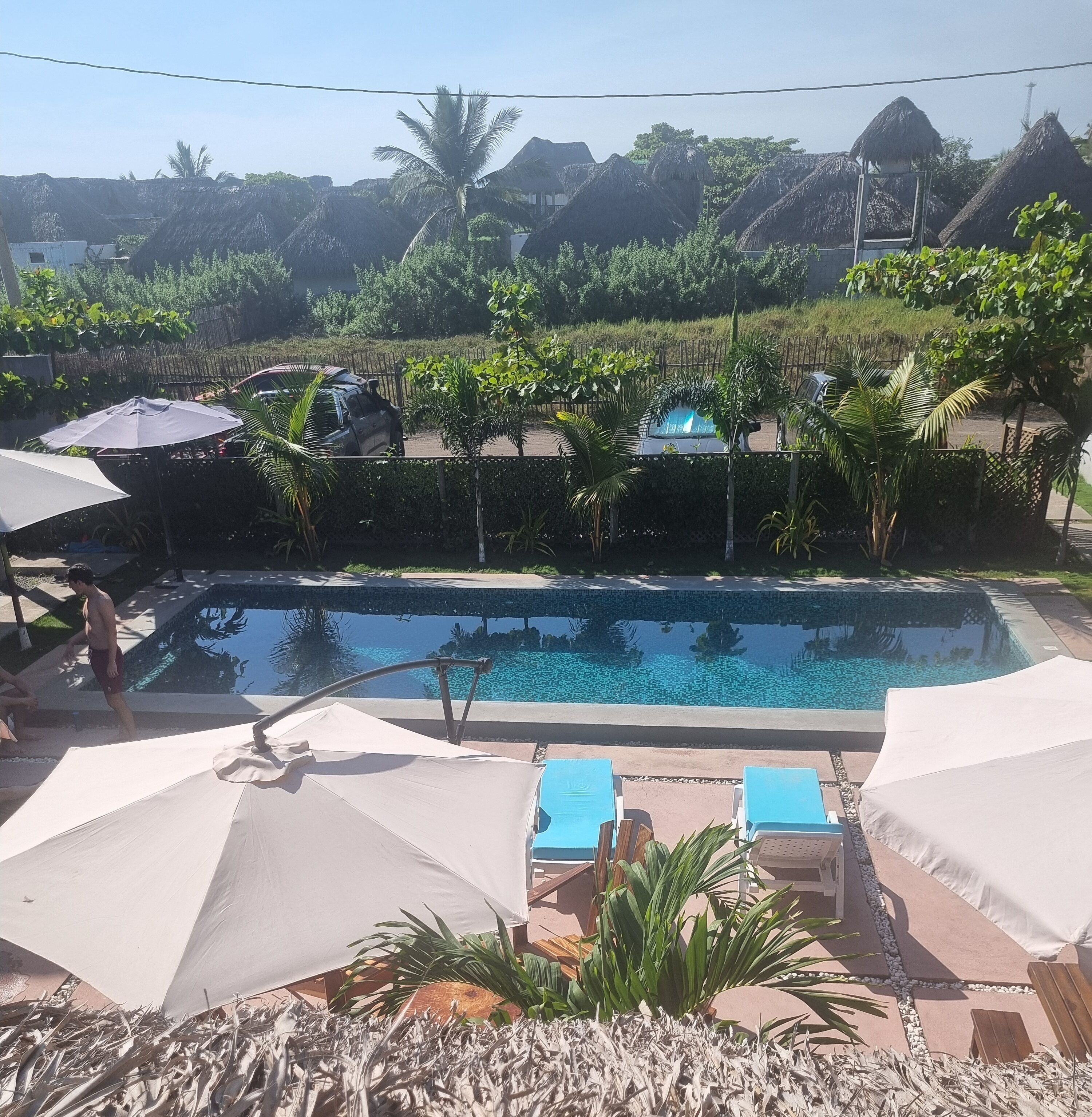A swimming pool with lounge chairs and umbrellas, surrounded by tropical vegetation and thatched-roof structures.