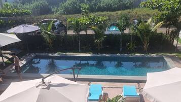 A swimming pool with lounge chairs and umbrellas, surrounded by tropical vegetation and thatched-roof structures.