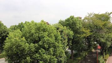 Basic Apartment | Balcony view