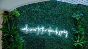 Un mur surmonté d’une haie verte et d’un panneau lumineux qui affiche l’inscription : « Bienvenue au printemps éternel ».