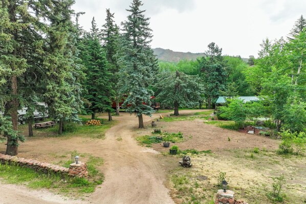 A dirt path leading through a forested area with trees and a small building in the background. - Charming Creekside Escape - Hot Tub - Pikes Peak Base - 2 Bed 2 Bath Kitchen (Cascade-Chipita Park)