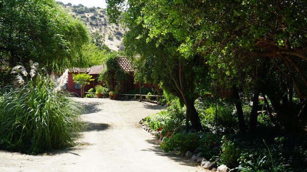 Terrein van de accommodatie