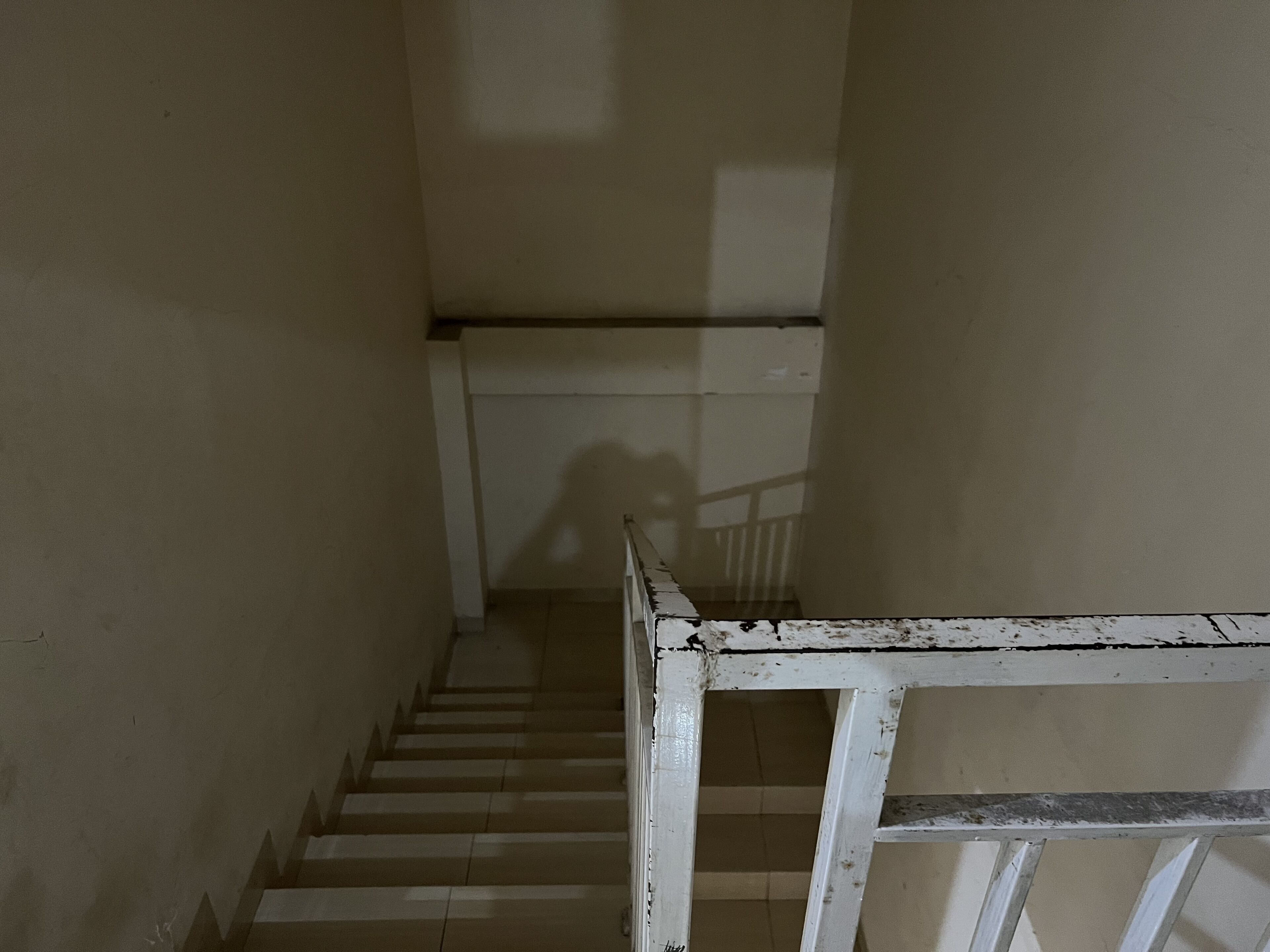 Un escalier faiblement éclairé, doté d’une rampe blanche, mène à un palier où se trouve une porte blanche.