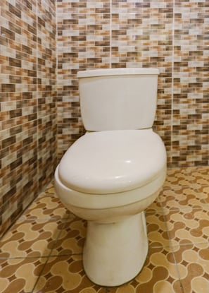 Habitación doble estándar | Baño | Regadera, toallas, jabón 