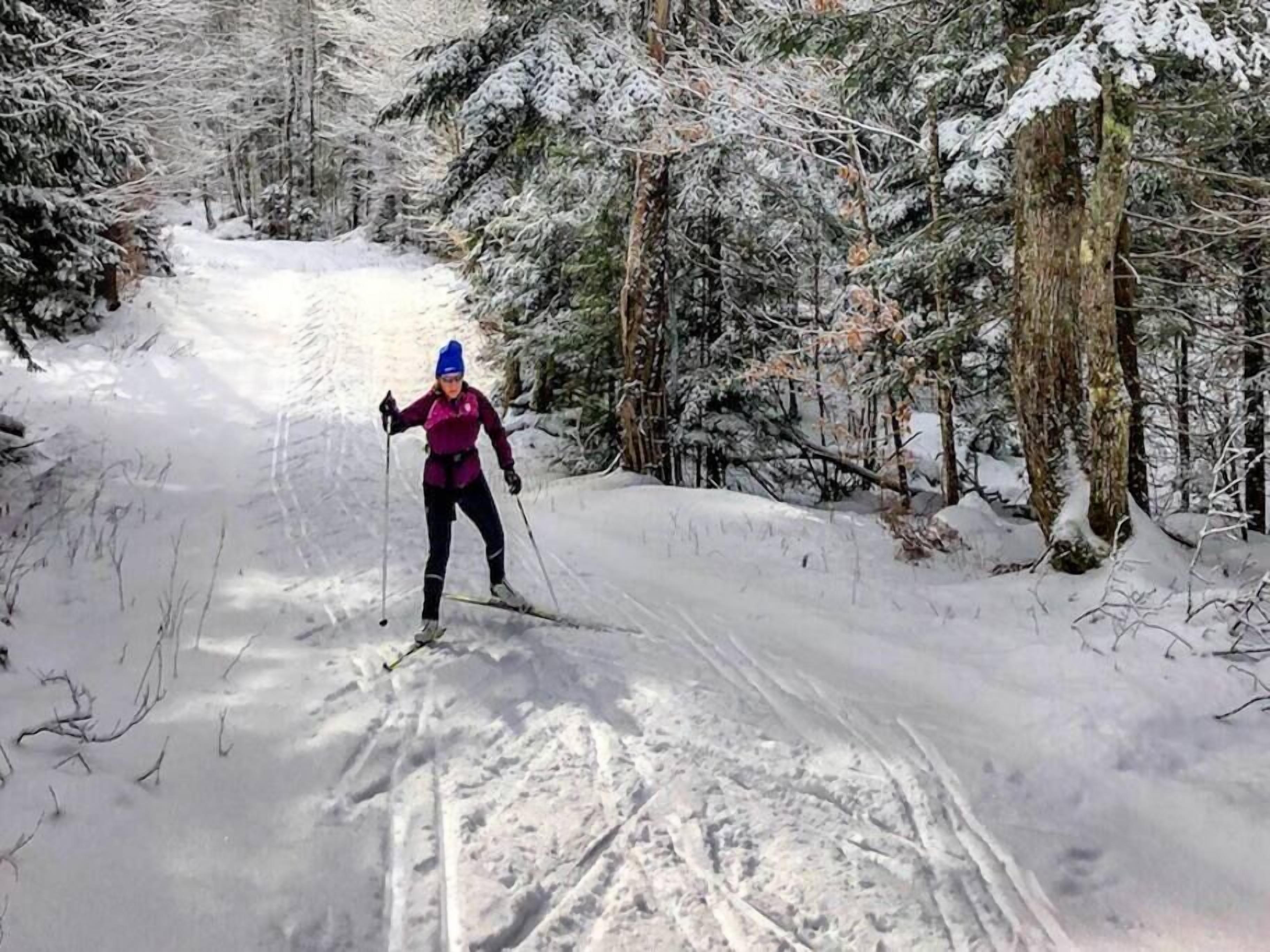 Un esquiador de fondo en un sendero nevado, rodeado de árboles.