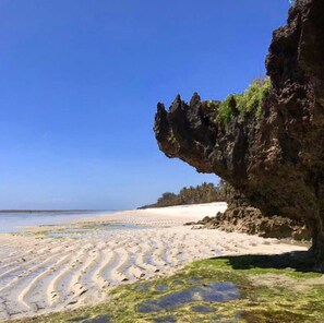 Na praia, espreguiçadeiras, toalhas de praia 