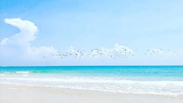 On the beach, sun loungers, beach towels