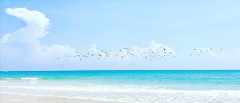 Plage, chaises longues, serviettes de plage