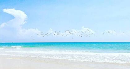 Shani House -Diani beach front private luxury villa, fully staffed.