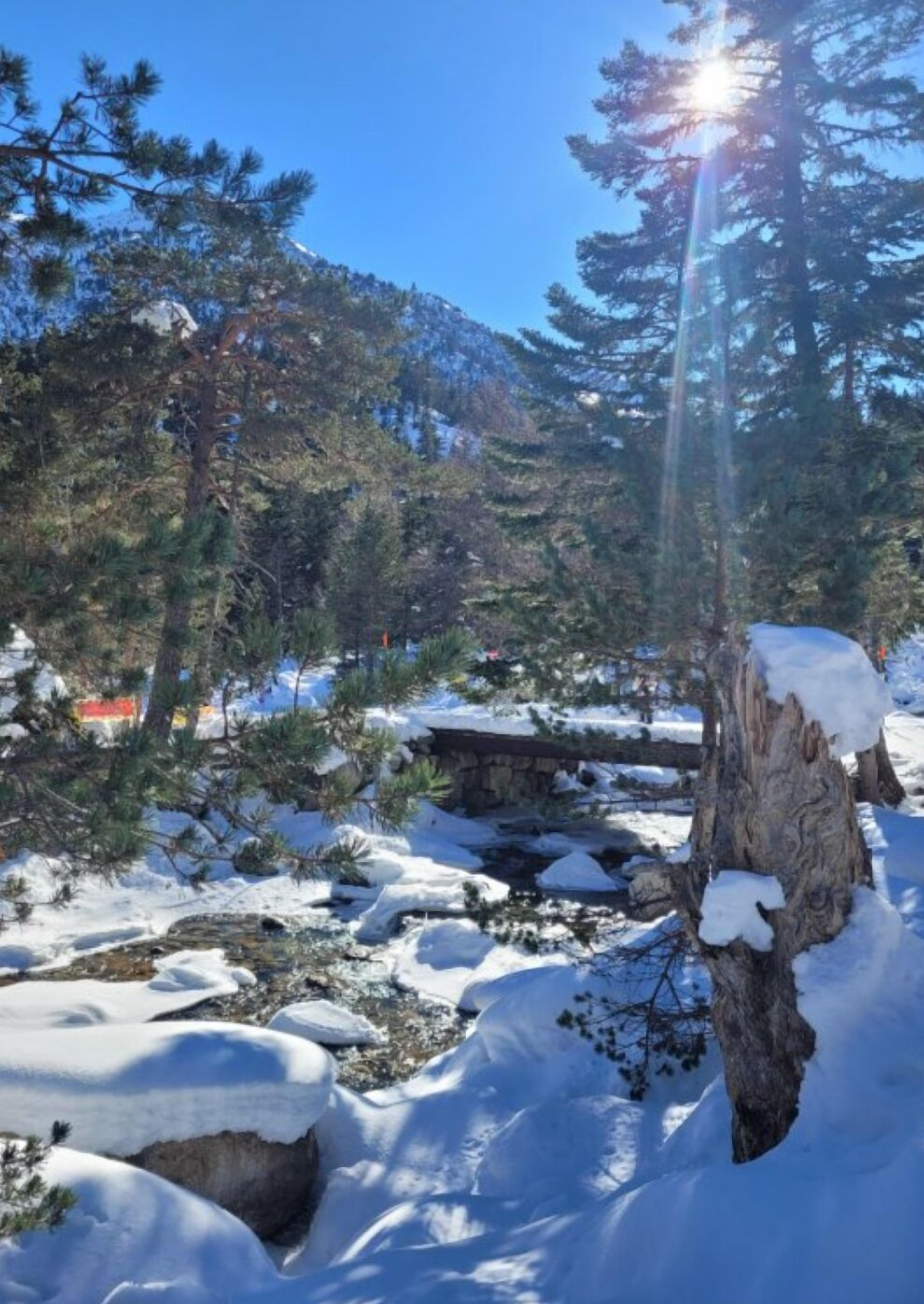 Un paysage enneigé, avec un ciel dégagé, un ruisseau rocheux et un pin.