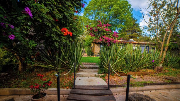 Una escalera de madera que lleva a una casa rodeada de exuberante follaje y flores vibrantes.