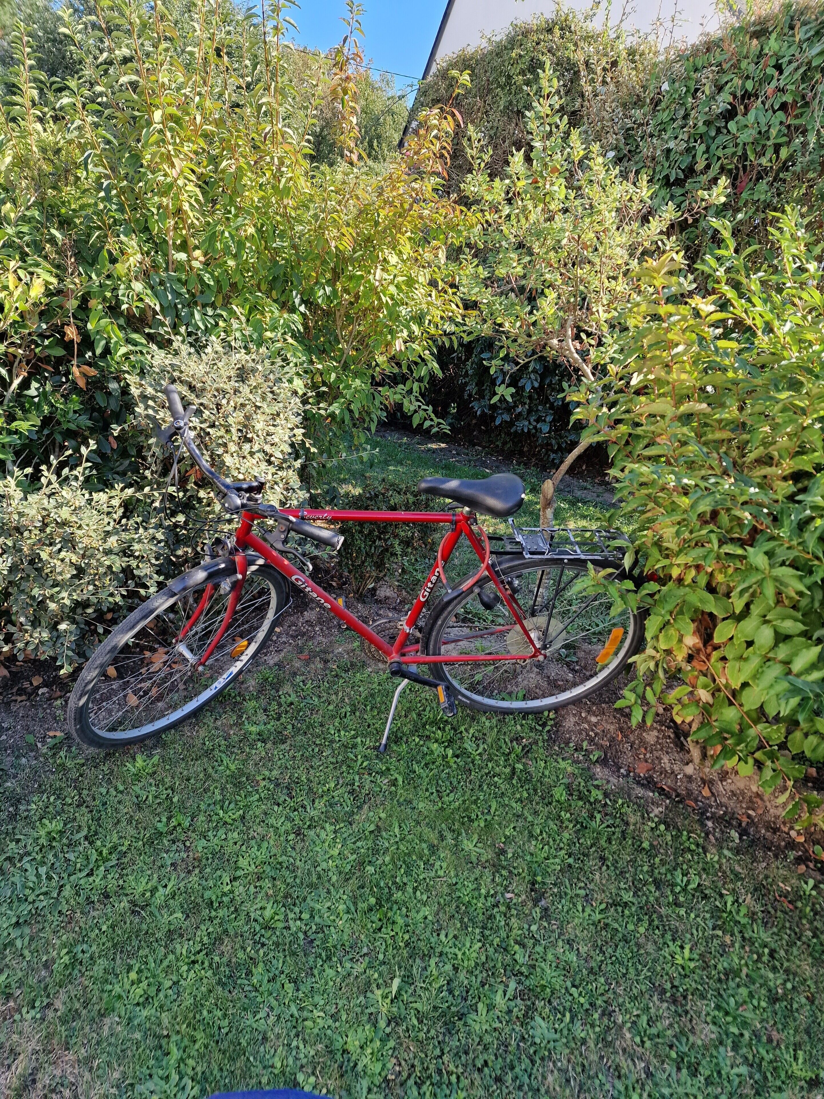 Una bicicletta rossa parcheggiata in un giardino con vegetazione lussureggiante e cielo sereno.