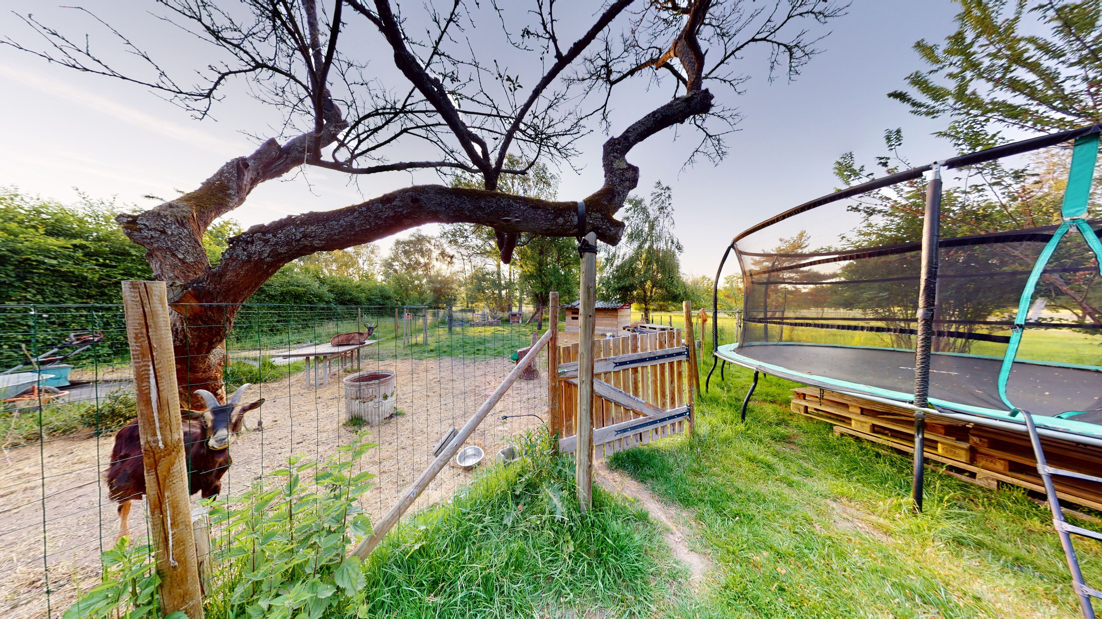 Un espacio exterior cercado con un banco de madera, un trampolín y una zona de alimentación.