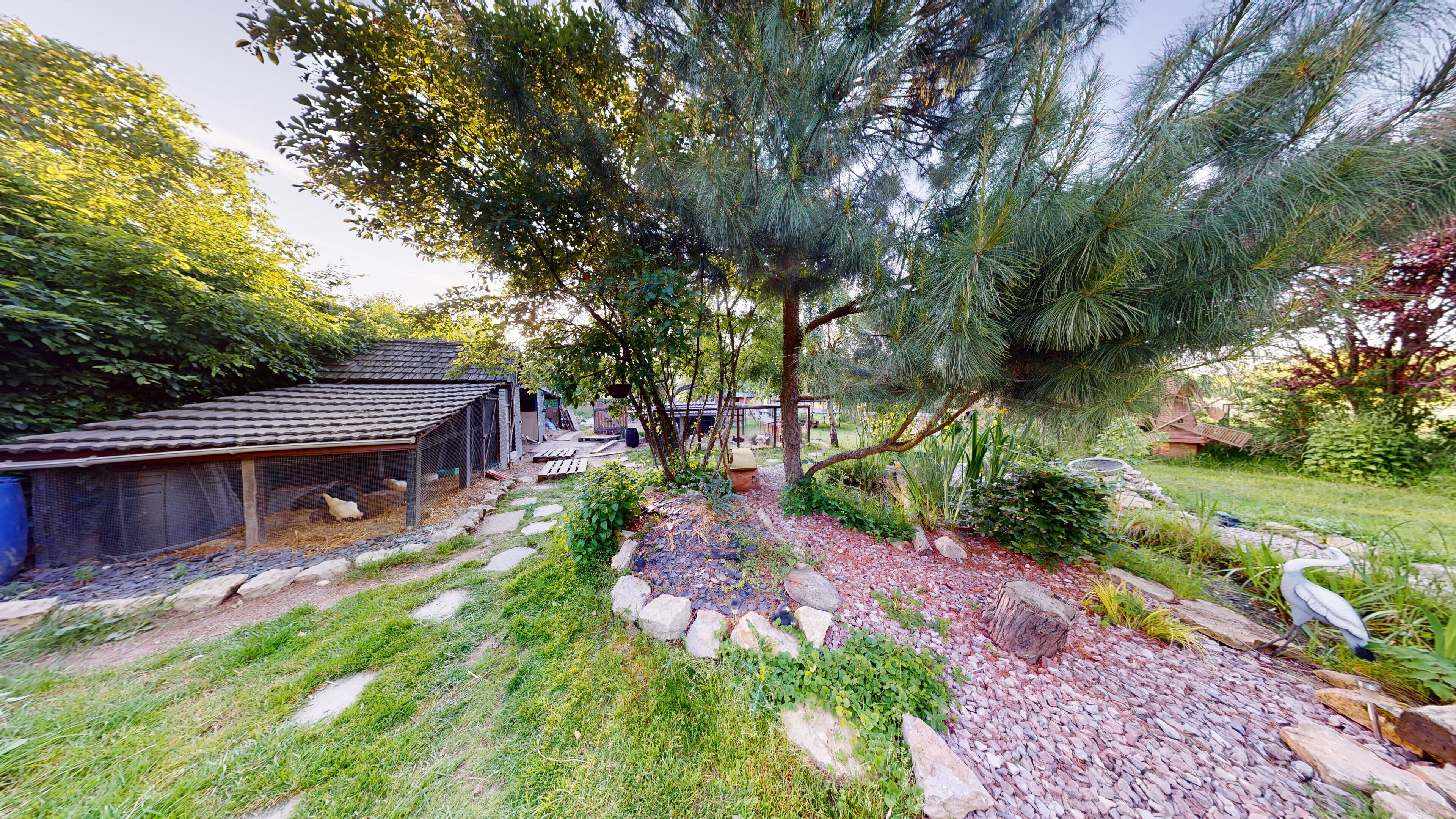 A garden with a chicken coop, a tree, and a bird.