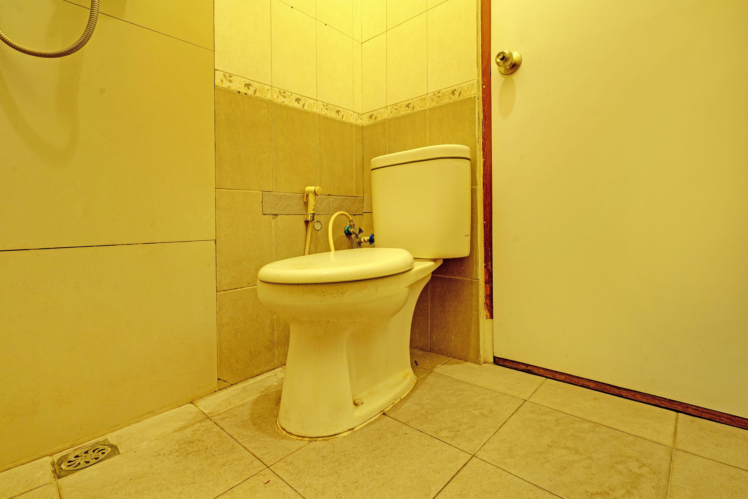 A bathroom with a toilet, a shower, and a door.