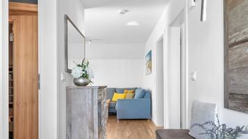 Fernseher, Kamin, DVD-Player, Bücher