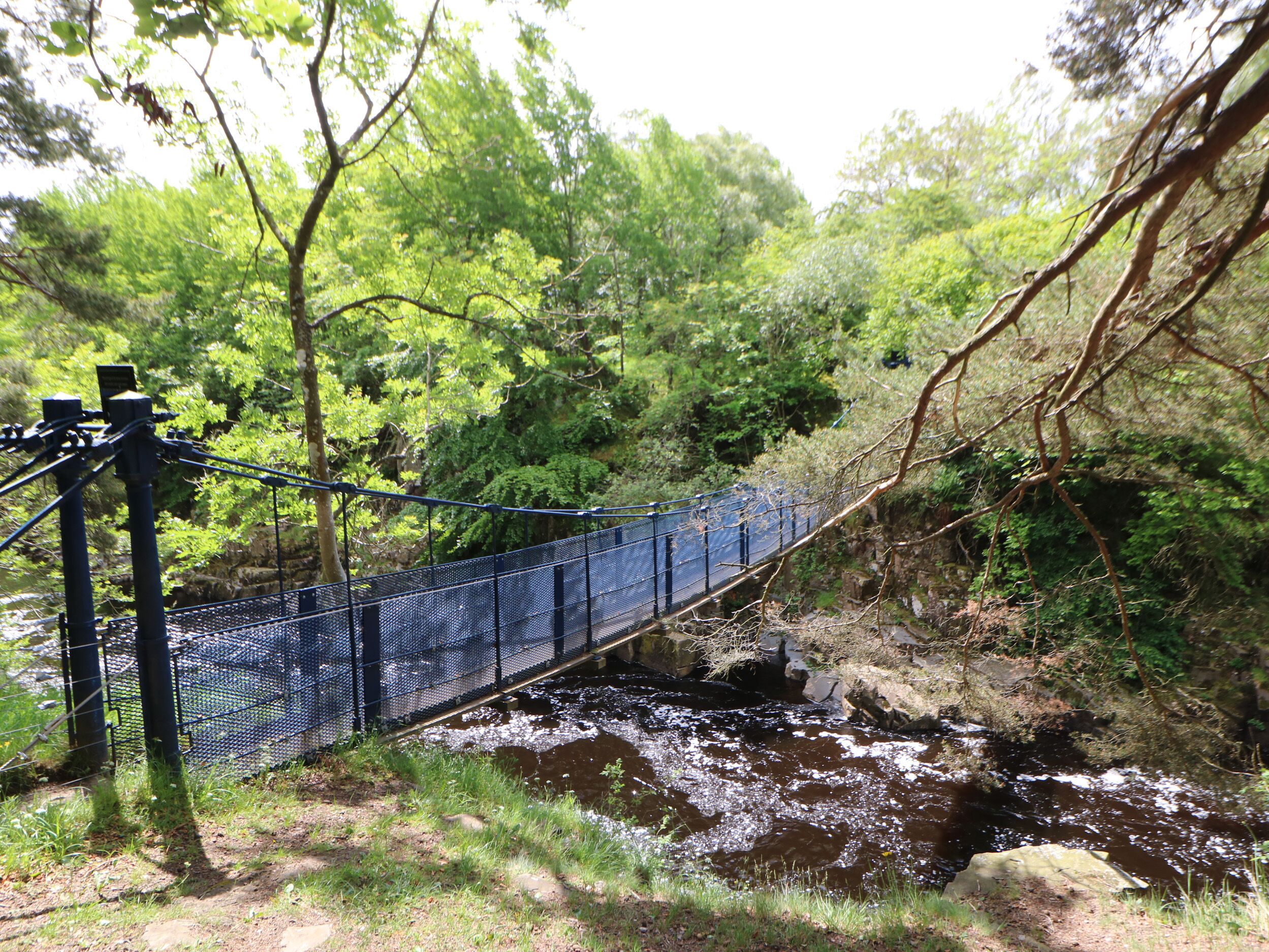 A suspension bridge over a river with surrounding greenery.