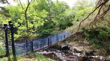 A suspension bridge over a river with surrounding greenery.