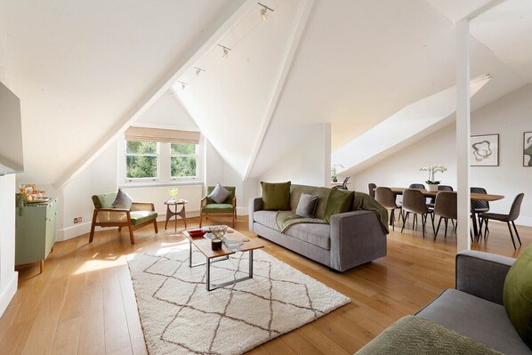 Smart-TV, Kamin