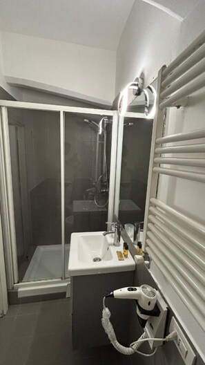 Shower, hair dryer, bidet, towels