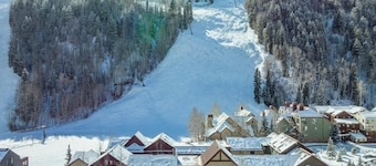 Awesome Views; Ski In/Out & lift is 100 steps from the Door