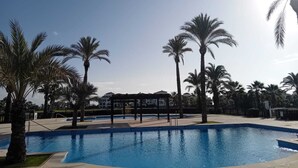 A swimming pool surrounded by palm trees and a covered pavilion.