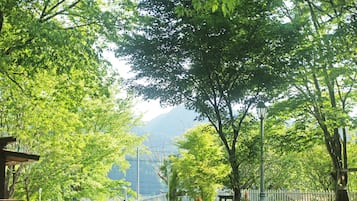 庭園