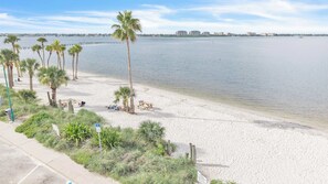 A beach with palm trees, a picnic table, and a view of the water. - Modern Escape - Pet Friendly,  Salt Pool, 6 Cart ERV (Cape Coral)