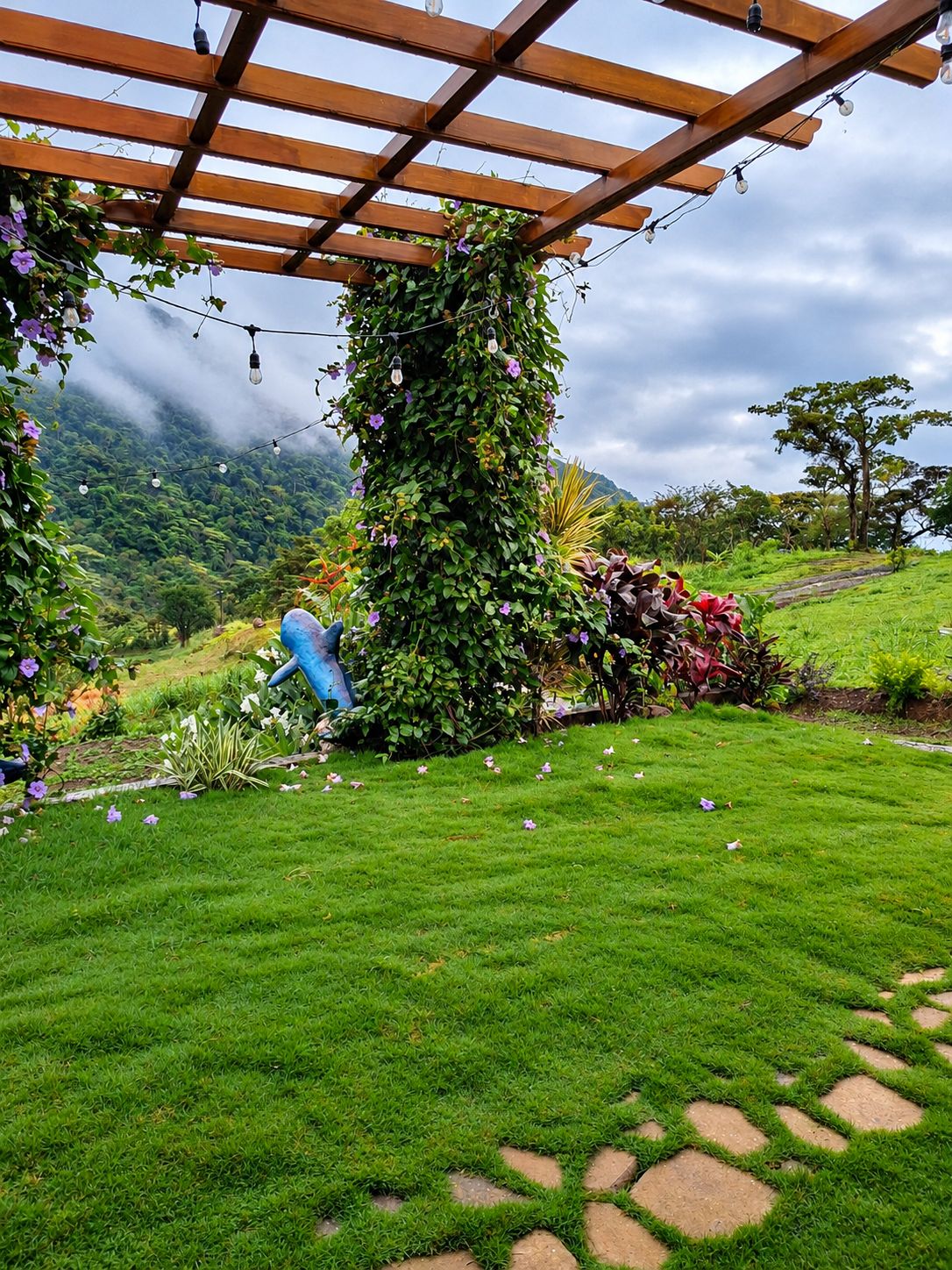 A garden with a wooden pergola, lush greenery, and a stone pathway.